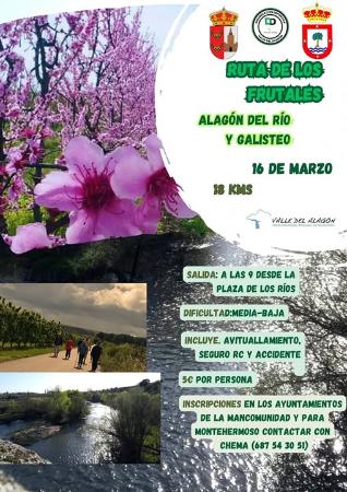 Imagen Nueva Ruta del IV Circuito Mancomunidad en Marcha. Los Frutales Alagón del Río y Galisteo.
